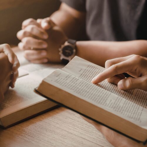 Forensic Psychology – Book of the Month